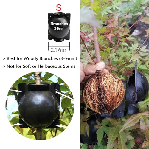 Tree Root Growing Box – Air Layering Propagation Pods for Woody Plants, Reusable Transparent Rooting Device for Magnolia, Fig, Citrus & Roses (10pcs Small, 3–9mm Branches) - color: Black-s-10pack