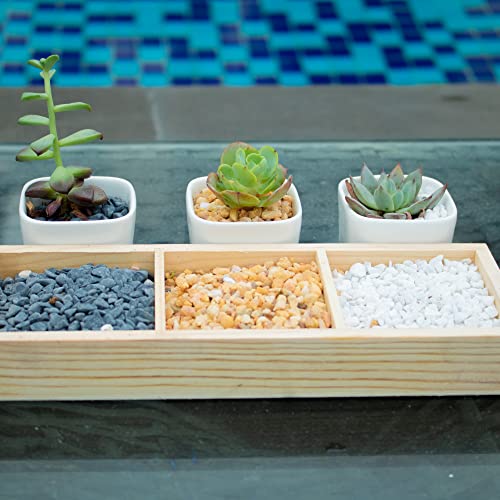 3lb White Cactus Pea Gravel Rocks,1/4 Inch Pebbles for Indoor Plants, Natural Succulent Rock and River Rocks Decorative for Aquariums, Vases, Outdoor Gardening, Top Dressing for Potted Plants - color: White Onyx, size: 3LB