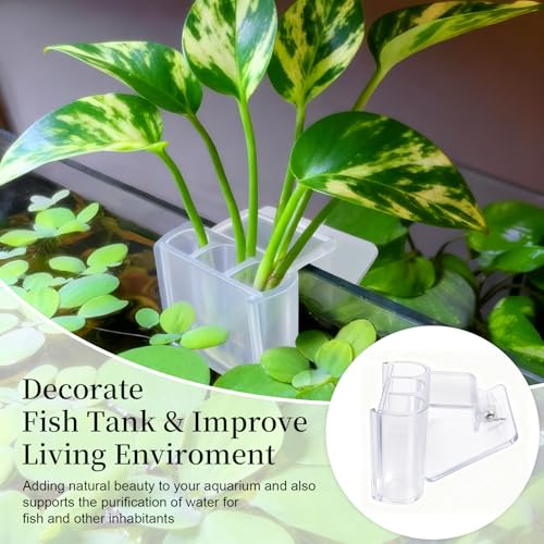 2 Pack Hanging Aquarium Plant Holder – 3 Holes Aquatic Plant Cups, Fish Tank Holder for Aquatic Plants, Ideal for Aquarium Tank Decoration(Transparent) - color: Transparent,2 Pcs