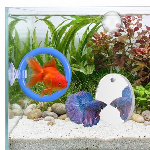 2 PCs Fish Feeding Ring with 1 Floating Mirror, Betta Ring Enrichment Toys, Exercise Training Rings and Betta Mirror for Tank Beta Fish Toys Beta Floating Aquarium Decor