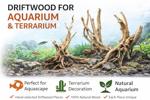 Azil spiderwood Natural Aquarium - size: Spiderwood 10'' - 14''