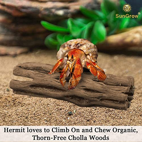 SunGrow Hermit Crab Woods, Climbing Logs, Chews, Keep Hermies Busy and Active, Long Dried Aquarium Décor Adds Raw Beauty, 3 Pcs