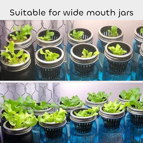 GROWNEER Net Pots 25 Pcs 3 Inch Garden Slotted Mesh Net Cups, Heavy Duty Hydroponic Supplies with 50Pcs Plant Labels, Planting Grow Basket for Indoor Outdoor Aquaponics Growing Bucket - size: 3 Inches, style: 25 PCS