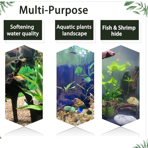 Tfwadmx Natural Driftwood for Aquarium Decor-9-14 Assorted Large Driftwood,Fish Tank Drift Wood Decoration, Freshwater Wood Branches Ornament for Reptile Terrarium,Air Plants - size: X-Large: 11-17"（1Pcs）