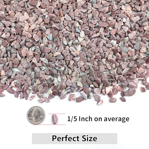 YISZM 2LB Succulent and Cactus Gravel Pebbles, 1/5 Inch Natural Decorative Polished Stones, River Rocks for Vases Gardening Indoor and Outdoor Decorative Rocks, Red - color: Red, size: 2 Pounds