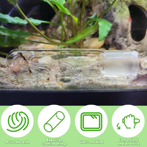 2 Pack Clear Glass Planaria Trap Catch Trap Aquarium Cleaning Supply for Dwarf Shrimp Cherry Shrimp (3 Holes)