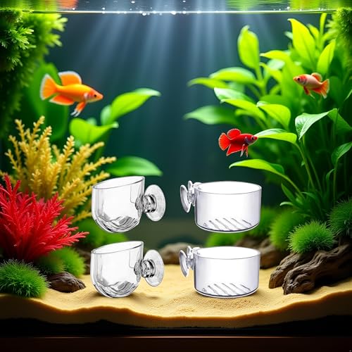 4Pcs Transparent Acrylic Aquatic Plant Cups with Suction - Aquarium Decoration 2 Shapes for Fish Tank Ornament