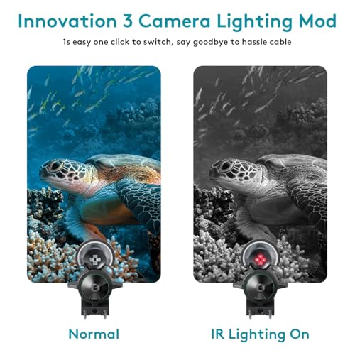 FourQ Underwater Fishing Camera, 220° Ultra-Wide Angle Video Fish Finder with 4.3" HD LCD Monitor, 5000mAh Battery, 65ft Waterproof Cable & IR Night Vision for Ice Lake Boat Kayak Fishing (65FT) - size: 65FT
