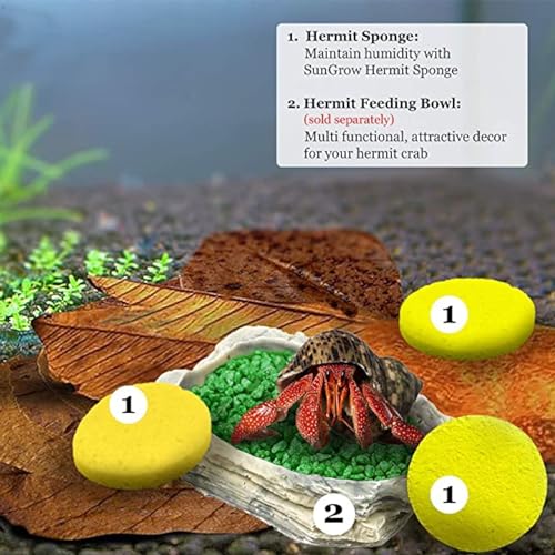 Hermit Crab Sponges for Water, 10 Pack Unbleached Hermit Crab Accessories & Supplies, Pet Crab Sponges Provide Nutrients and Maintain Tank Humidity, Water Dish Yellow Real Sea Sponges, 2" x 1"