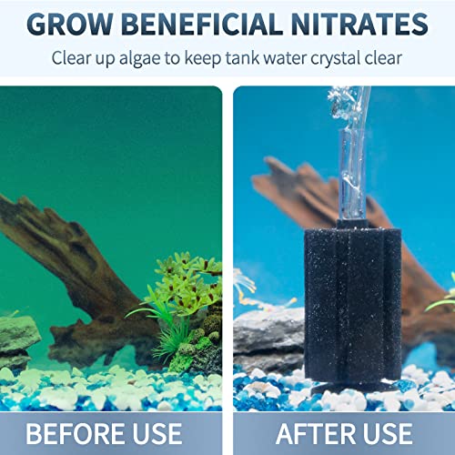 Pawfly Aquarium Bio Sponge Filter Small Fish Foam Filter with Airline Tubing Suction Cups Check Valve Connectors and Control Valve for Fish Tanks up to 20 Gallons