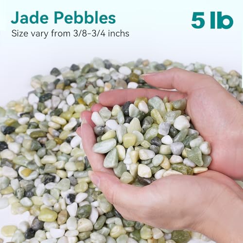5 lbs Jade Pebbles for Indoor Plants, 3/8" Plant Rocks for Pots Indoor, Decorative Small Stones for Plants, Bamboo,Vase, Succulent, Highly Polished Small River Rocks - color: Jade
