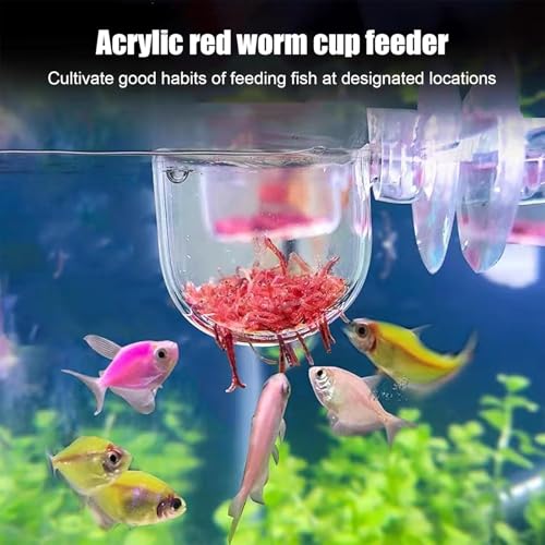 KABASI 3 Pack Aquarium Plant Holder Pot, Red Worm Fish Shrimp Feeder, Clear Acrylic Aquatic Plant Cup with Suction Cups for Home Fish Tank Aquascape Decor