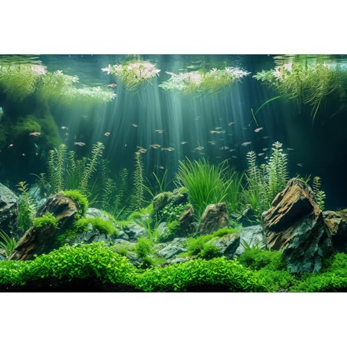 Underwater Aquarium Background Under The Sea Ocean Bed Stone Grass Leaves Fish Tank Background Vivid Fresh Aquatic Green Plants Rock with Moss Aquarium Fish Tank Backgrounds Decor Vinyl 24x12in - color: Dark Green, size: 24(W)x12(H)inches/ 60(W)*30cm(H)