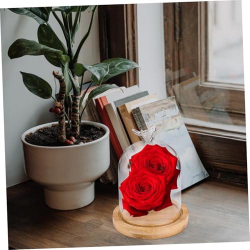 Happyyami Flower Glass Cover Display Cloche Dome Party Dried Flower Vase Plant Decor Bird House Decor Showcase Display Dome Cloche Tabletop Display Dry Flower Botanical Cute Room Wooden