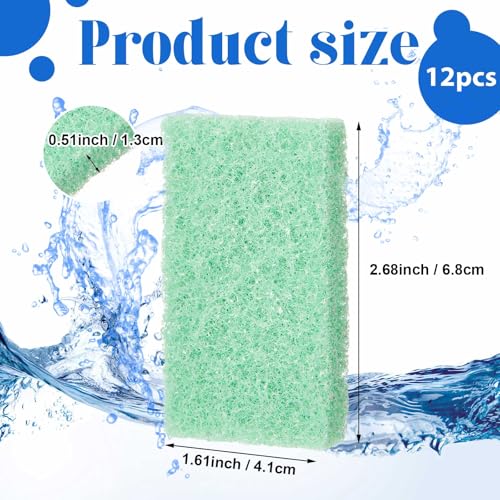 Threlaco 12 Pcs Phosphate Remover Inserts Compatible with Flex/spec/evo, Flex 32.5 Media, Replacement Aquarium Filter Media for Freshwater and Saltwater Aquariums, Removing and Reducing Phosphate - color: Green