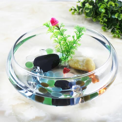 Happyyami Transparent Aquarium Tank 1 Gallon Acrylic Betta Fish Bowl Desktop Fish Tank for Home Office Decor and Hydroponic Plant Display
