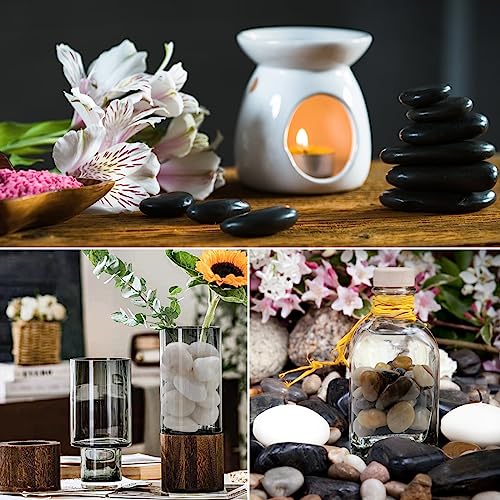 5lbs Black Pebbles for Plants, 2-3 Inch High Polished Natural Large River Rocks for Landscaping, Decorative Stones Vase Filler Fish Tank Aquariums Garden Outdoor and Indoor DIY
