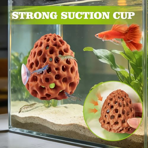 Shrimp Dome Hide, Shrimp Hides for Aquarium, Betta Fish Hideout with Suction Cup, Betta Habitat Tank Ornament Accessories, Aquarium Decor for Small Fish Guppy Hiding Resting (Brown) - color: Brown