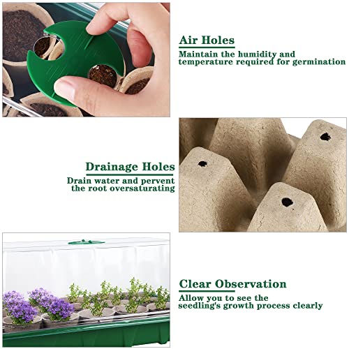 Hahood 4 Pack Seed Starter Tray Set Plants Growing Trays Peat Pots for Seedlings with Seed Starter Pots, Plastic Germination Tray, Plant Labels, Tool for Flower Vegetable Planting, Green - color: Green