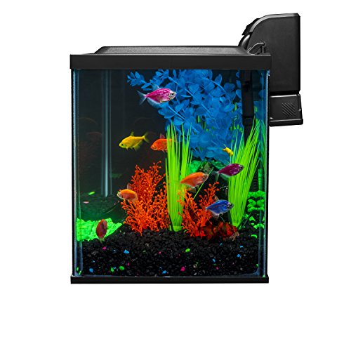 Glofish 10 Gallon Aquarium Fish Tank Kits, Includes LED Lighting and Décor (Amazon Exclusive) - size: 10-gallon kit