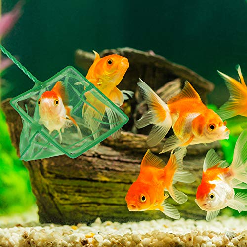 4 Pack Aquarium Fish Net Fine Quick Catch Mesh Nylon Fishing Catch Nets with Plastic Handle for Fish Tank Mesh Nets Scoop - Green - style: (3in, 4in,5in, 6in) With Hooks