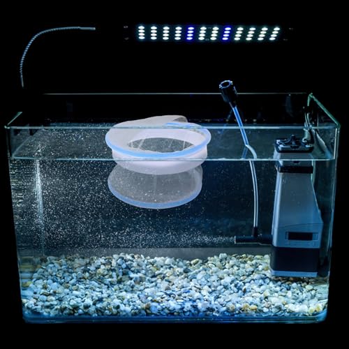 Kisangel Guppy Breeding Box Fish Tank with Nylon Mesh Floating Isolation Net Aquarium Nursery Tank Divider for Small Pet Fry Hatchery