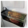 Anti-Jumping rium Cover - Secure Fish Tank Lid for Jumping Fish Prevent, Cat-Proof Safe Cover (14x10in / 35.56x25.4cm) - size: 14x10in/35.56x25.4cm