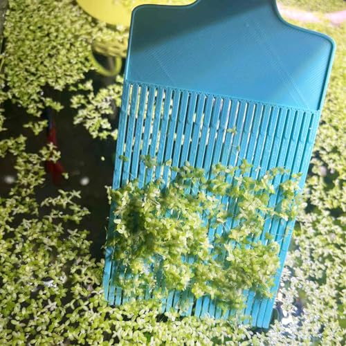 Aquarium Duckweed Removal Tool, 6.5 x 3 inch Floating Plant Comb Spatula, Aquatic Tank Cleaning Tool - color: Cyan