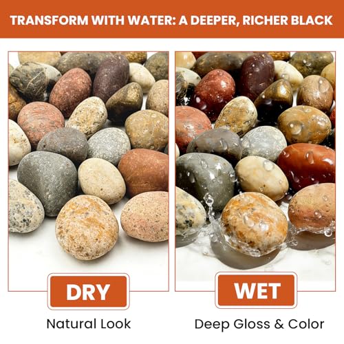 2-3 Inch Mixed Round Pebbles, Smooth River Rocks for Rock Painting, Planters, Vase Filler, Fish Tank, Aquarium Decor & Garden Landscaping, 6LB - color: 6LB, size: 2-3inch