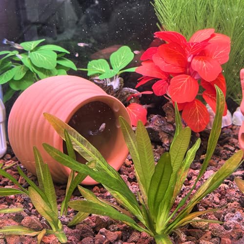 M2cbridge Natural Clay Pottery Ceramic Jar Vase Cichlid Small Fish Shrimp Aquarium Decor to Play Hide Breed Habitat (Red Clay, 2pcs) - color: Red Clay, 2pcs