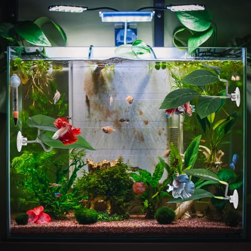 Betta Fish Hammock, 3 Pcs Betta Fish Leaf Pad Aquarium Plants Decor Simulating The Natural Habitat for Fish Tank Accessories Betta Sleeping Resting Playing Hiding Breeding with Plastic Suction Cup