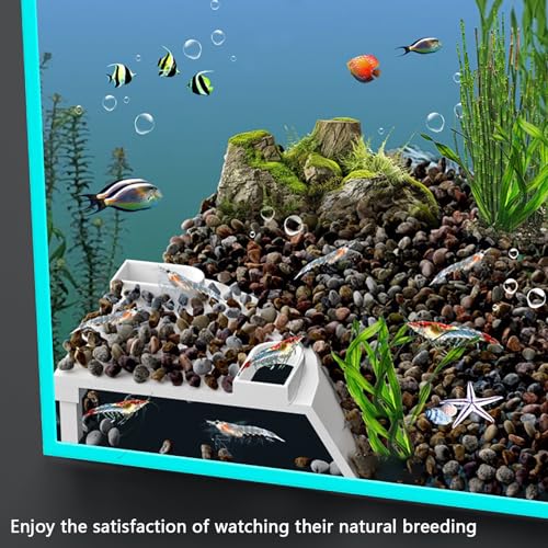 Aquarium Underground Cave Decor: Fish Tank Corne Tunnel Hideout for Shrimp & Betta - Viewing Fish Under Gravel Cave Hide - for Fish Tank Creative Decor Enthusiast（White (White) - color: White