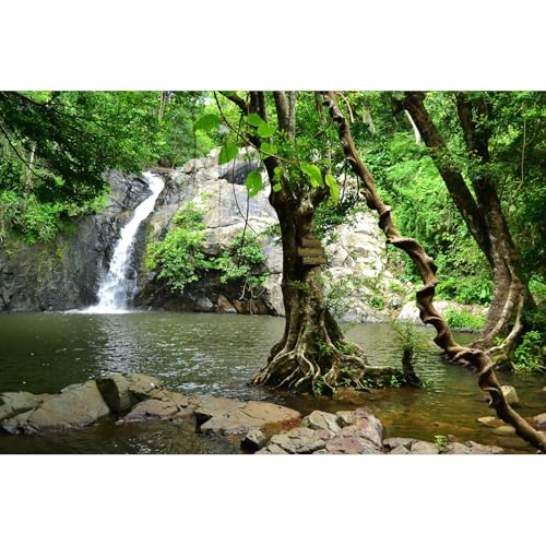 Waterfall Aquarium Background Jungle Forest Lake Stream Natural Landscape Terrarium Backgrounds Tropical Plants Rocks Fish Tank Background Jungle Trees Garden Style Reptile Tank Backgrounds 24x12in - color: Light Brown_Green, size: 24(W)x12(H)inches/ 60(W