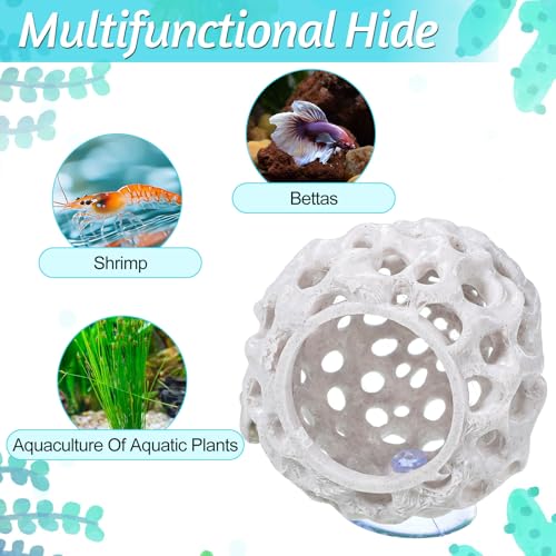 Shrimp Dome Hide, Shrimp Tank Accessories, Shrimps Hides for Aquarium, Gray ABS Shrimps Cave with Suction Cup, Fish Tank Decor for Small Fish Guppy Hiding Resting