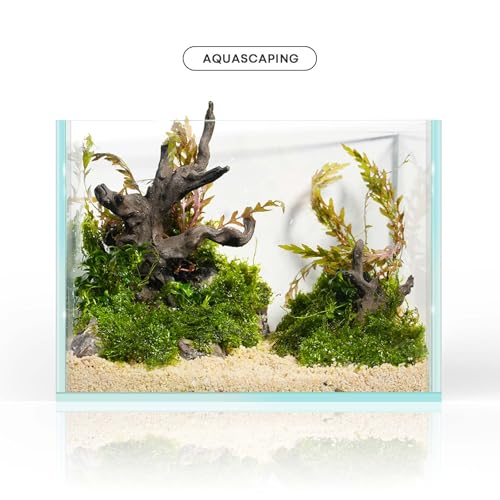 FZONE Resin Aquarium Driftwood, Aquarium Tree Decoration for Nano Aquascaping and Hardscape - size: 03Driftwood:6.7×4.7×3.0"/3.1×2.4×1.4"