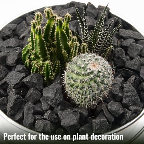 NUPICK 10 Pound Gravel Rocks, 0.5-0.7 Inches Polished Pebbles for Plants, Fish Tank, Clear Vase and More, Natural Black Stones - color: Black, size: 0.5-0.7"-10lb