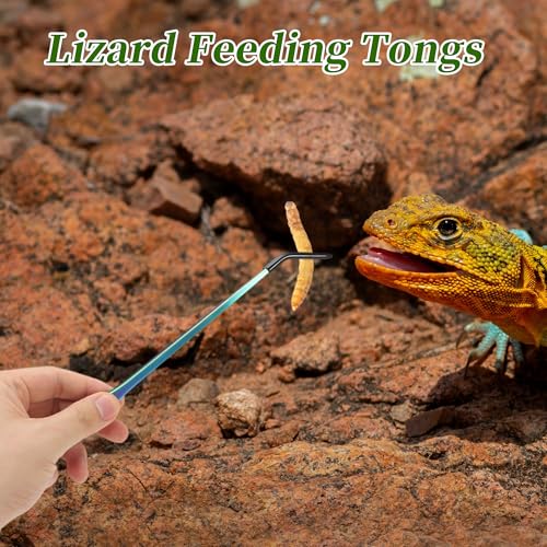 Reptile Feeding Tongs, Stainless Steel Lizard Feeding Tongs, Aquarium Curved Feeding Tweezers for Reptiles W/Rubber Tip, Terrarium Feeding Tongs for Gecko,10.63", Assorted Color