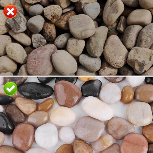 Natural River Rocks 1-2 Inch Ornamental Polished Pebbles Pebbles for Indoor Plants Small Rocks Decorative Rocks for Potted Plants Aquarium Gravel River Rocks for Plants,Aquarium,Fish Tank,Vases 1 LB - size: 1 LB Bag