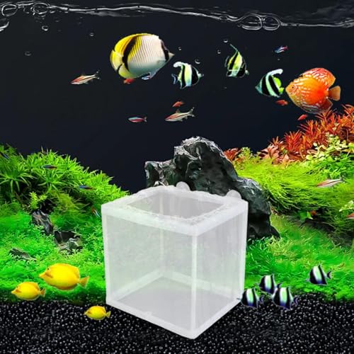 Fish Breeder Box - Fish Isolation Box Mesh Box, Aquarium Breeder Box, Fish Fry Hatchery, Juvenile Separation Net with Suction Cups, Nursery for Guppy Shrimp - color: small