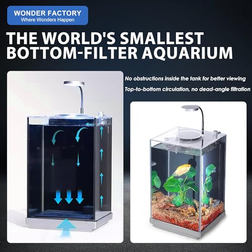 Nano Desktop Betta Aquarium 2.7 Gallon Glass Fish Tank Set, Hidden Bottom Filtration System Self Cleaning Filter Light Gravel Plant Cleaning Tool, for Small Space Easy Setup Space-Saving Design - size: 2.7 gallon