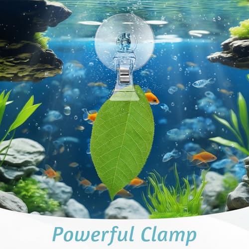 6 Pack Aquarium Suction Cup Clips, Clear Plastic Fish Feeding Tool, Veggie Seaweed Plant Holder for Fish, Underwater Fish Feeder, Tank Fish Feeder Clips Accessories