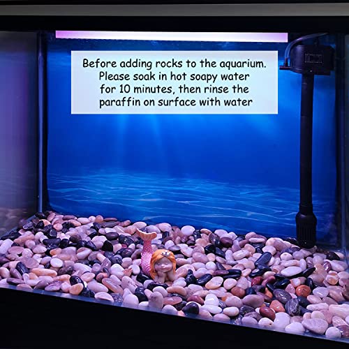 FANTIAN Small Pebbles for Plants, 5 LB Natural Smooth Colorful River Rocks Stones for Plant, Vase Fillers, Aquarium Gravel, Landscaping, DIY Craft Rocks and Outdoor Decorative Stones - size: 0.8-1.2 Inch, style: 5 Pounds