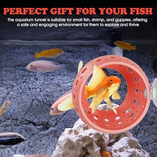 Ejoyous Aquarium Fish Hideout, Plastic Fishtank Tunnel Cave with Powerful Suction Cups, Easy Cleaning Fishtank Tunnel Ornament for Small Fish Shrimp Guppies Freshwater Saltwater (2PCS)