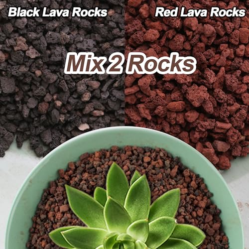3lb Lava Rocks for Plants - Horticultural Volcanic Gravel for Drainage in Succulents, Bonsai, Terrariums and Landscaping - color: Mix Lava, size: 3lb