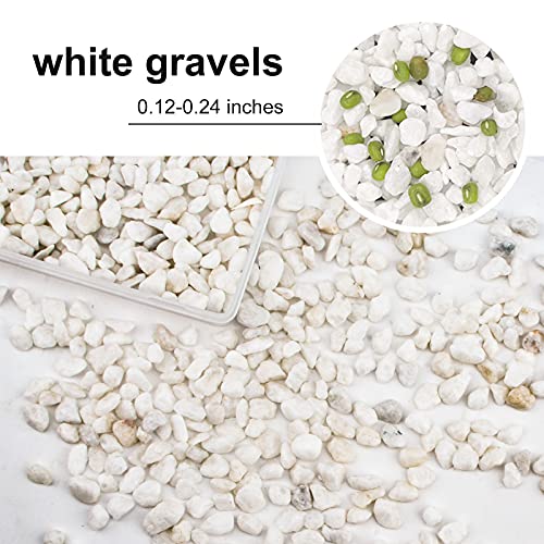 WANDIC 200g Decoration Stone, White Natural Polished Stone Small Decorative Pebbles for Home Decoration Art Craft Vase Filler Fish Tank Houseplant Filler