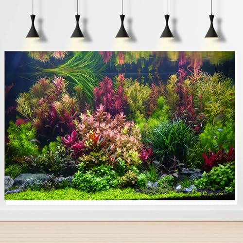 Aquarium Background Various Vivid Fresh Underwater Aquatic Plant Fish Tank Aquarium Backdrop Stone River Bed and Lake Fish Terrarium Background Decor Vinyl 24x12in - color: Purple Green, size: 24(W)x12(H)inches/ 60(W)*30cm(H)