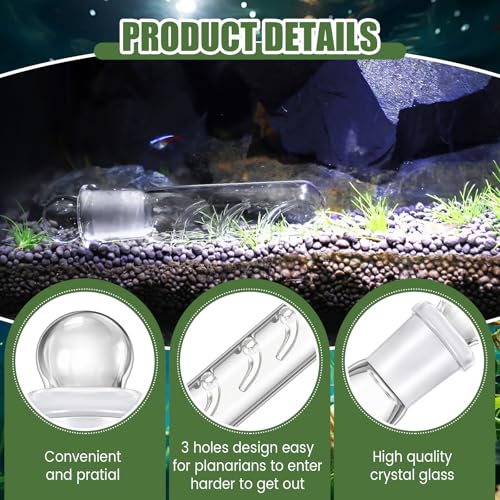 Qualirey 4 Pack Planaria Catch Trap for Aquarium Snail Leech Clear Glass Planaria Trap for Dwarf Shrimp Red Cherry Shrimp Tank(3 Holes) - style: 3 Holes