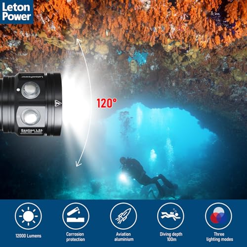 Diving Flashlight, L24 12000Lumens Dive Light,100m Underwater Video Light, Scuba Dive Lights, Underwater flashlights with Type-C Charging for Professional Under Water Sports - color: Sealion L24