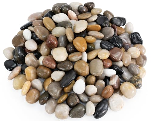 Pebbles for Indoor Plants, 2lbs Colorful Pebbles 0.5-1.2 Inch Decorative River Rocks for Planters, High Polished Stones for Vase Filler Fish Tank Landscaping Garden - size: 0.5-1.2 inch, style: 2 lbs