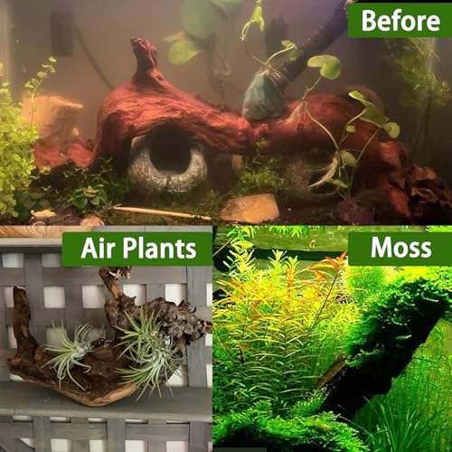 Tfwadmx Natural Driftwood for Aquarium Decor-9-14 Assorted Large Driftwood,Fish Tank Drift Wood Decoration, Freshwater Wood Branches Ornament for Reptile Terrarium,Air Plants - size: X-Large: 11-17"（1Pcs）